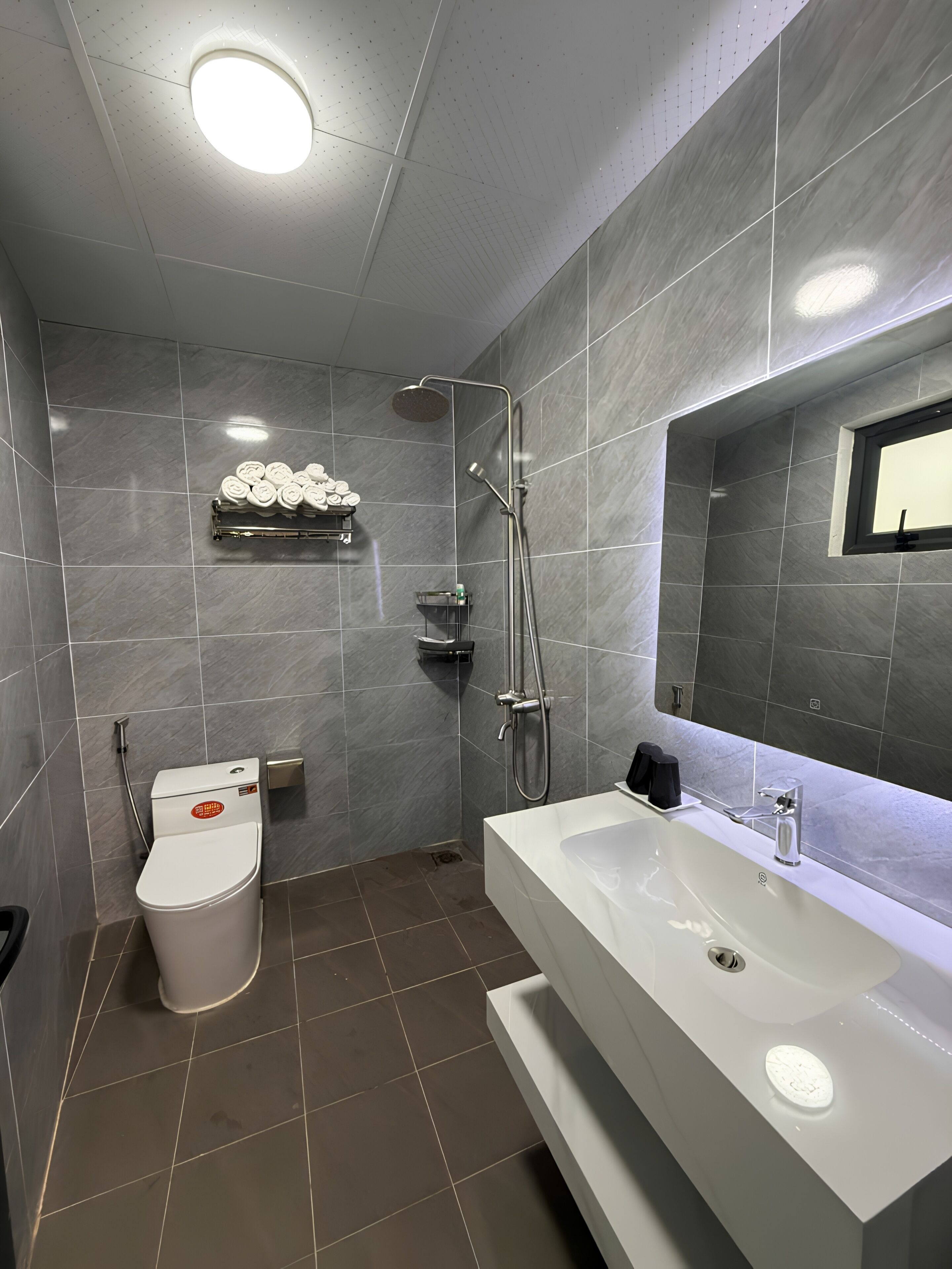 A modern bathroom with a toilet, shower, and a large sink.