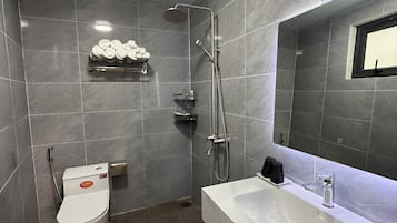 A modern bathroom with a toilet, shower, and a large sink.