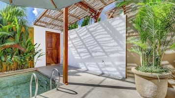 A pool area with a wooden door, a white wall with a geometric pattern, and a large potted plant.