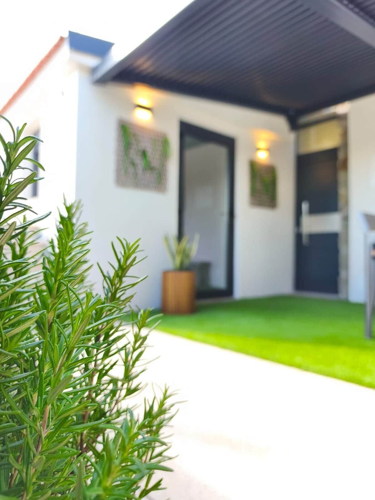 A modern house with a well-maintained lawn, a door, and a potted plant.