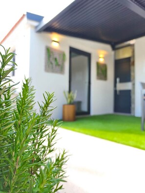 A modern house with a well-maintained lawn, a door, and a potted plant.