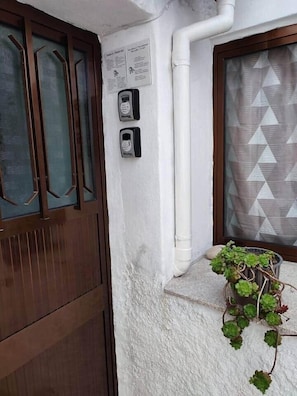 Una puerta con un ventanal, un interfono instalado en la pared y una planta en el alféizar.