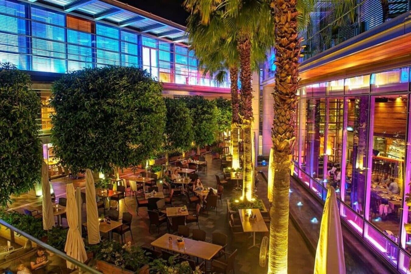 An outdoor dining area with tables and chairs, surrounded by palm trees and a building with large windows.