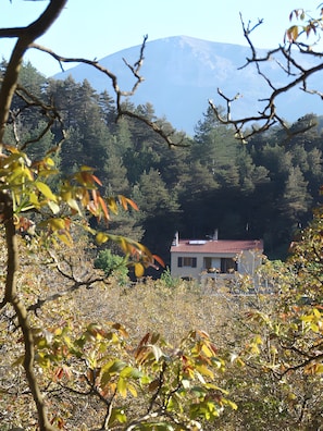 A house with a red roof, surrounded by dense forest and a mountain in the background.