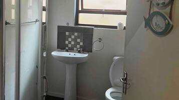 Ducha, secador de pelo y toallas