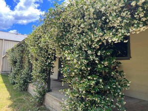 A building with a covered porch and a lush, flowering vine climbing over the structure.