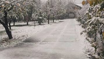 A snow-covered pathway flanked by trees, leading to a building in the distance.