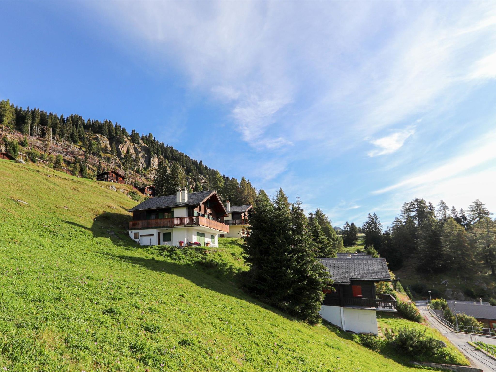 Una propiedad en una ladera con una casa grande que tiene un balcón, rodeada de exuberante vegetación y un bosque de fondo.