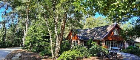A rustic cabin with a sloped roof, surrounded by dense trees and a gravel driveway.
