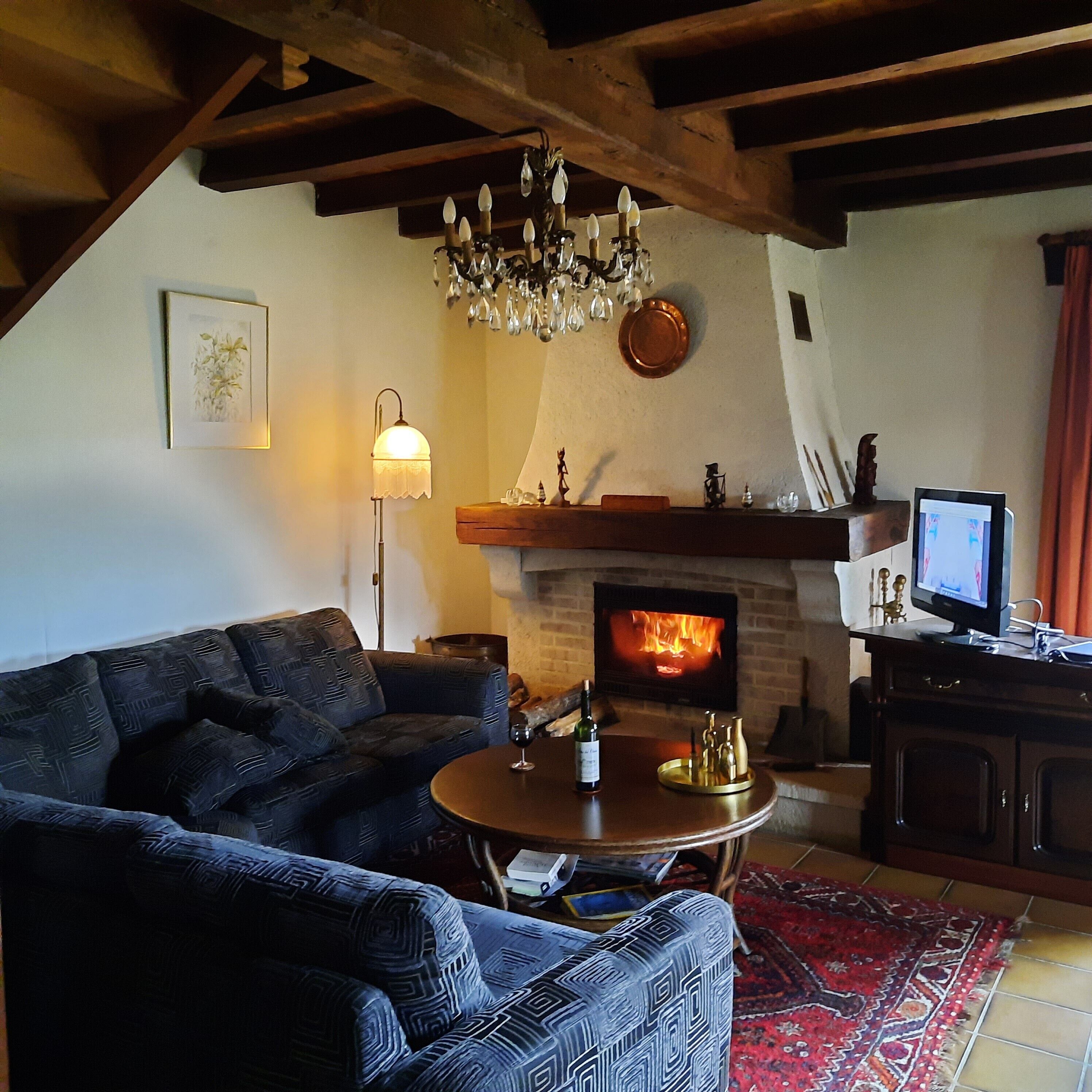 Télévision, cheminée, lecteur de DVD, chaîne hi-fi