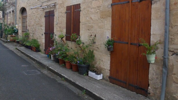 A stone building with wooden doors and windows, potted plants along the sidewalk, and a clear street.
