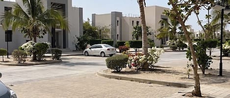 A paved outdoor area with a white car parked, surrounded by palm trees and shrubs, with modern buildings in the background.