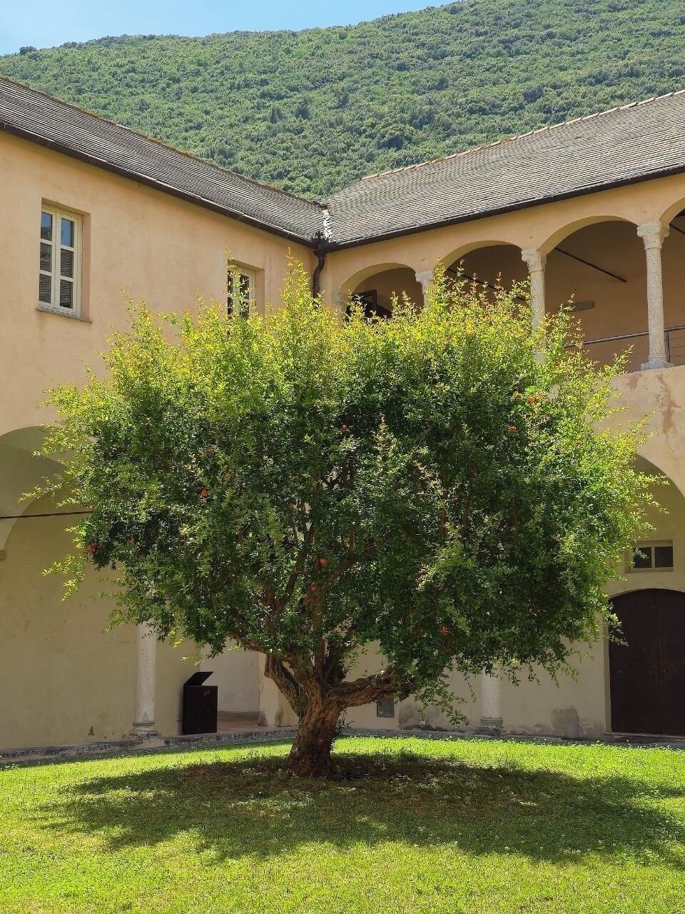 Ein Gebäude mit Innenhof, Baum und Bergelandschaft im Hintergrund.