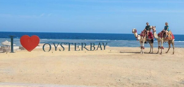 A beach with a sign reading 'I ♥ OYSTER BAY' and two camels with riders. - Beachfront Two-Bedroom Suite (ABU DABBAB)