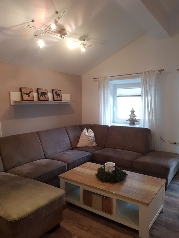 Fernseher, Kamin, Tischtennisplatte, Bücher