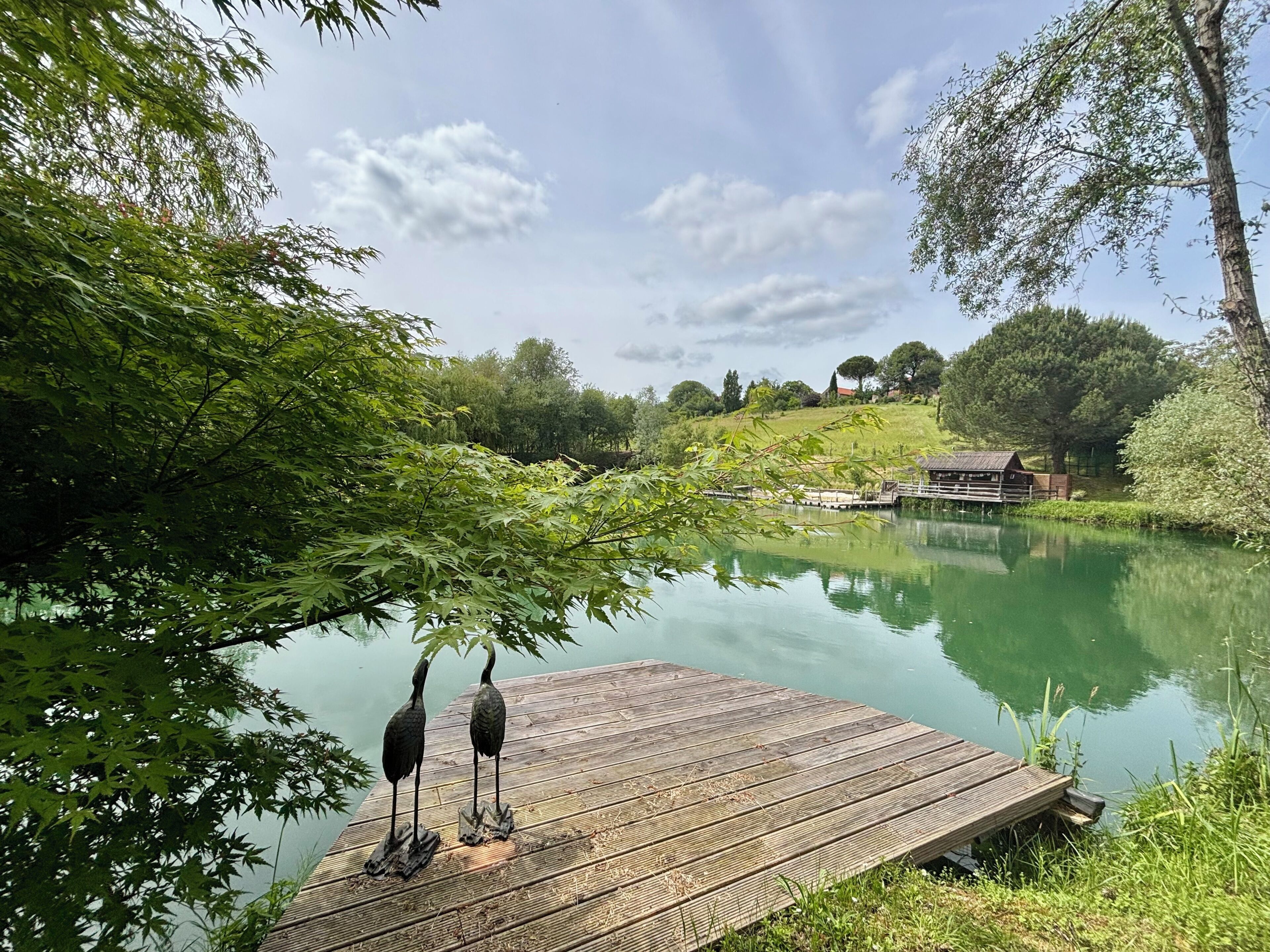 A wooden dock extending into a calm lake, surrounded by lush greenery and trees.