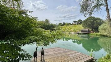 A wooden dock extending into a calm lake, surrounded by lush greenery and trees.