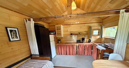 A cabin by a pond, surrounded by nature