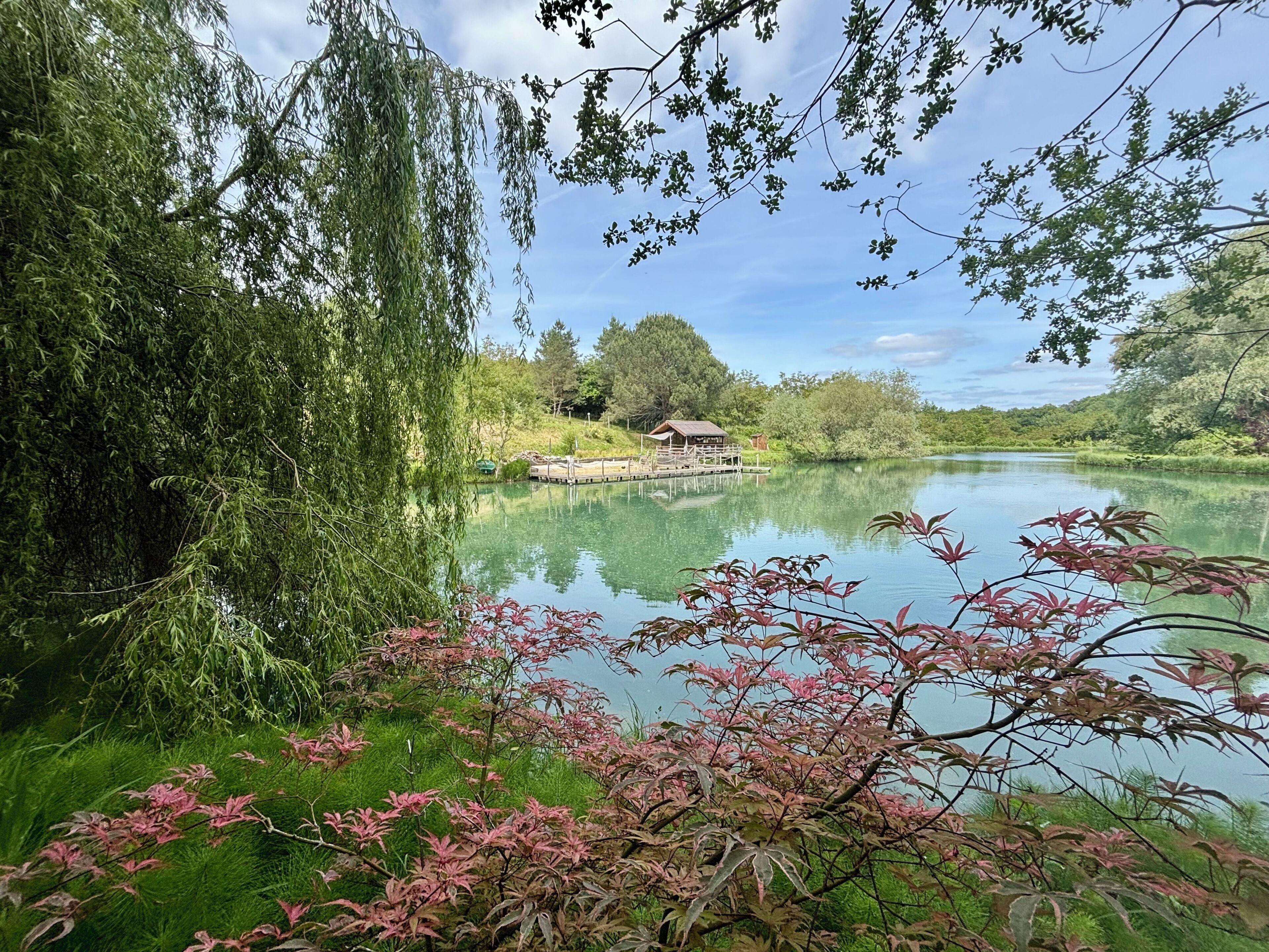 A serene lakeside scene with a wooden dock and a small building, surrounded by lush greenery and trees.