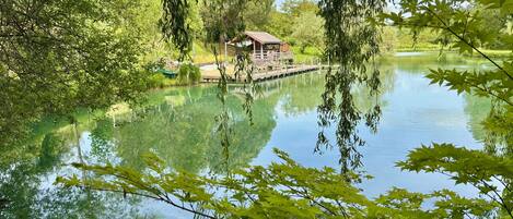 A tranquil lakeside setting with a wooden dock and a rustic building, surrounded by lush greenery.