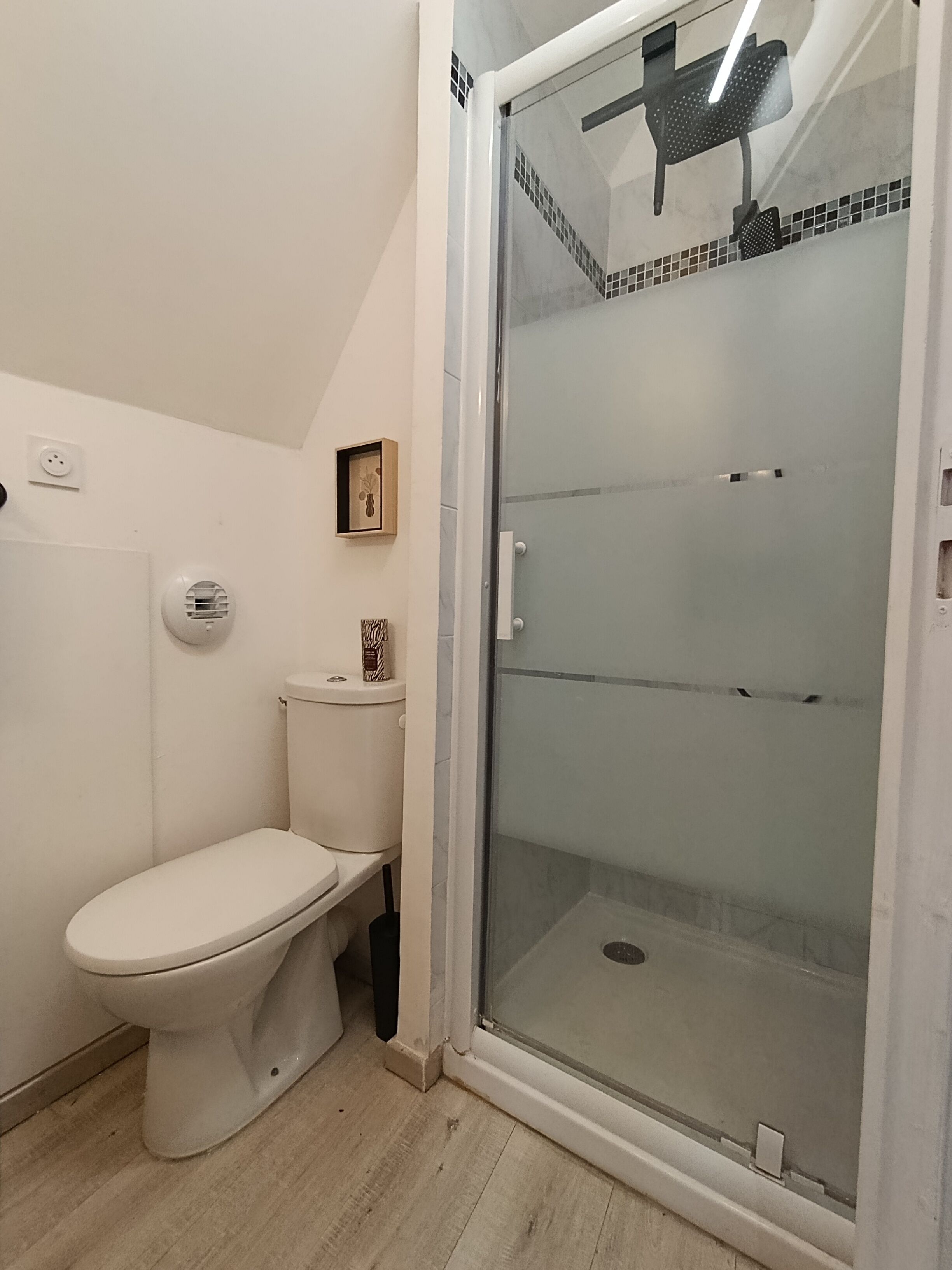 Une salle de bain comprenant des toilettes, un espace douche et un luminaire fixé au mur.