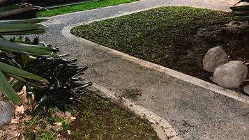 A pathway leading to a building entrance with a modern design, surrounded by greenery and a small garden area.