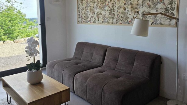 A modern living room with a grey sofa, a wooden coffee table, a potted plant, and a large wildlife-themed tapestry on the wall.