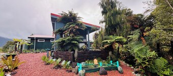 Shala Wellness Retreat nested at Lake Kaniere offers Peace, Nature, Yoga & Sauna
