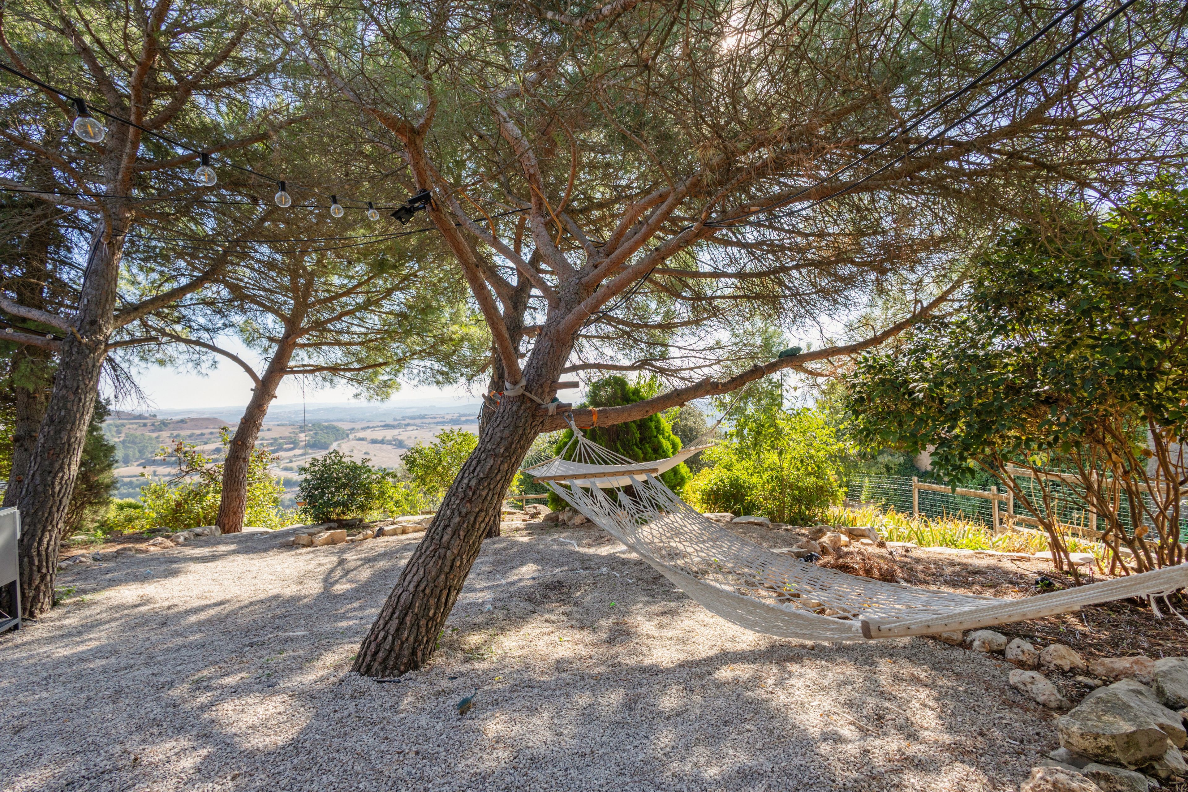 Una hamaca atada entre árboles en un entorno natural con vistas al paisaje.
