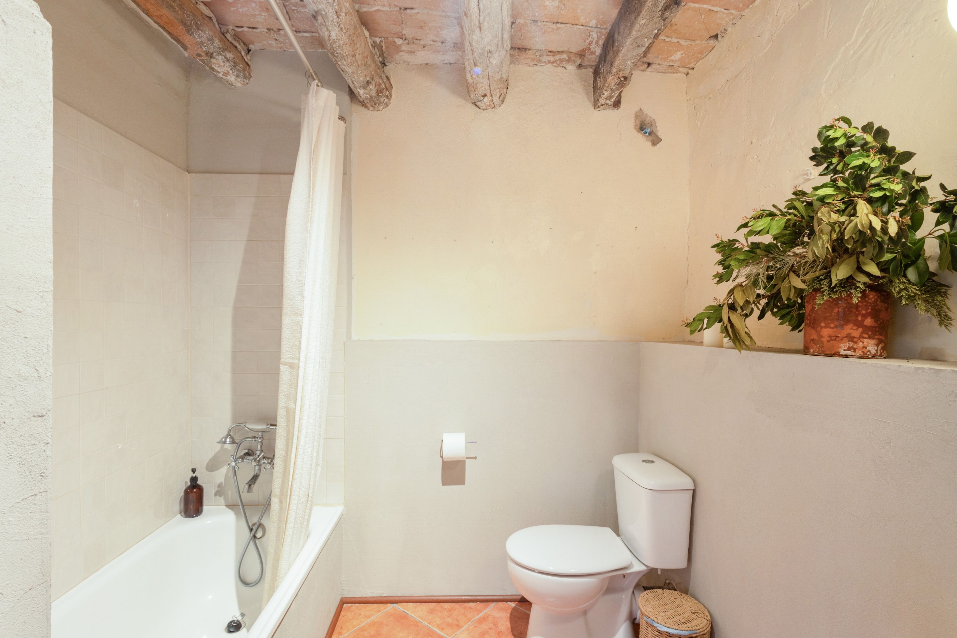 Une salle de bain avec une baignoire, des toilettes et une plante en pot.