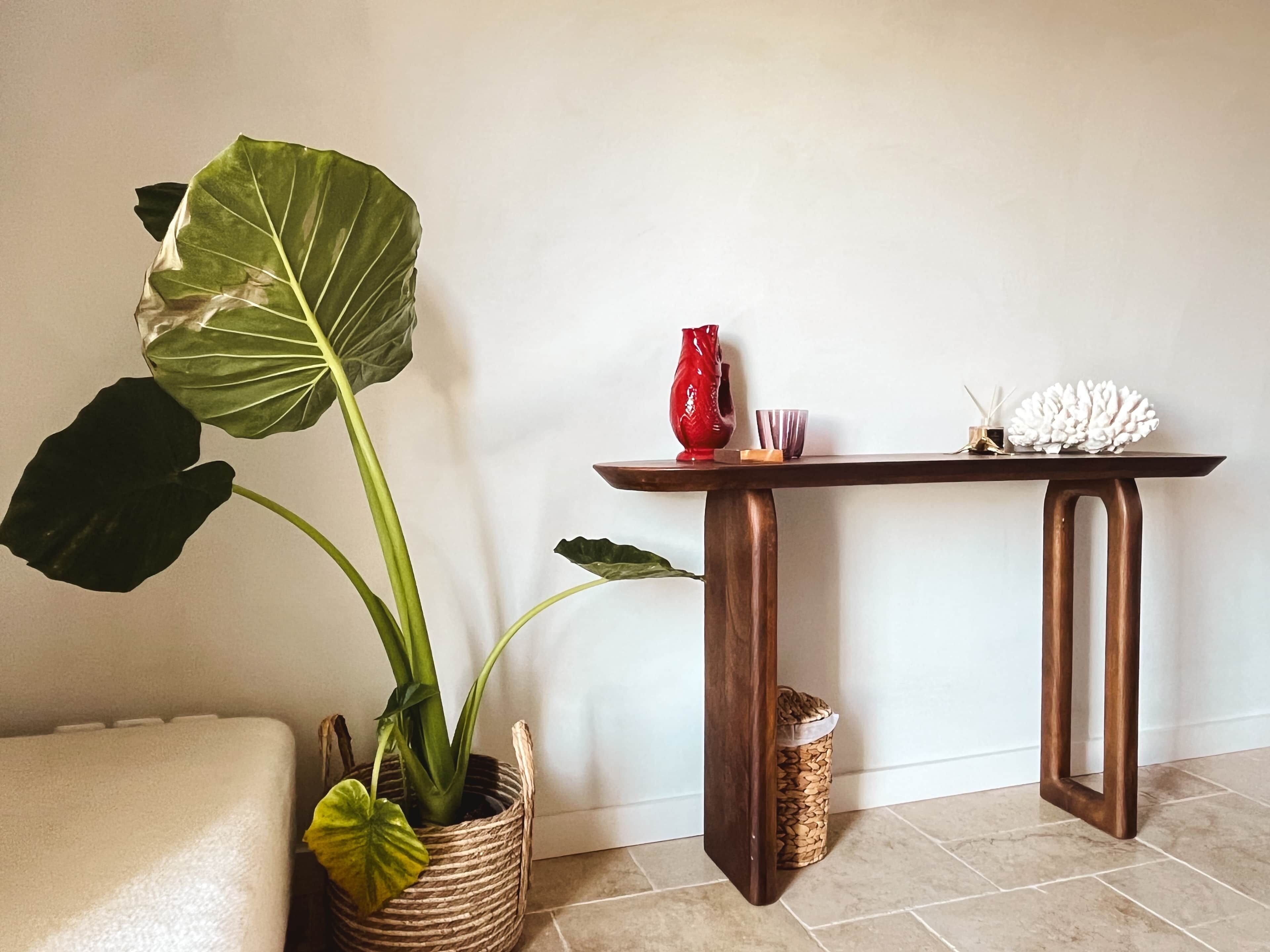 A room with a large potted plant, a wooden console table, and a small trash bin.