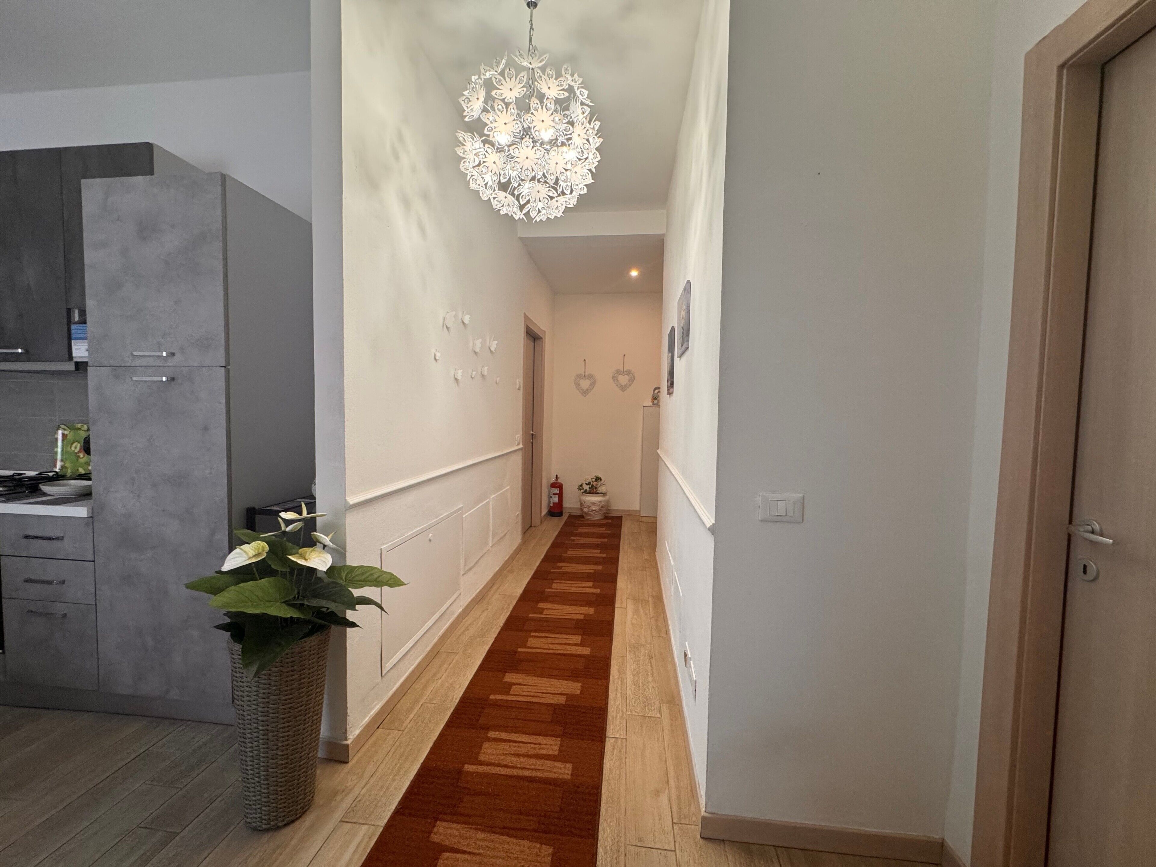 Un couloir doté d’un plancher en bois, d’un luminaire suspendu et d’une plante en pot.