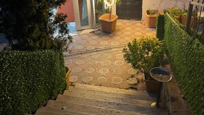 A staircase leading to a building entrance with potted plants and a flag.