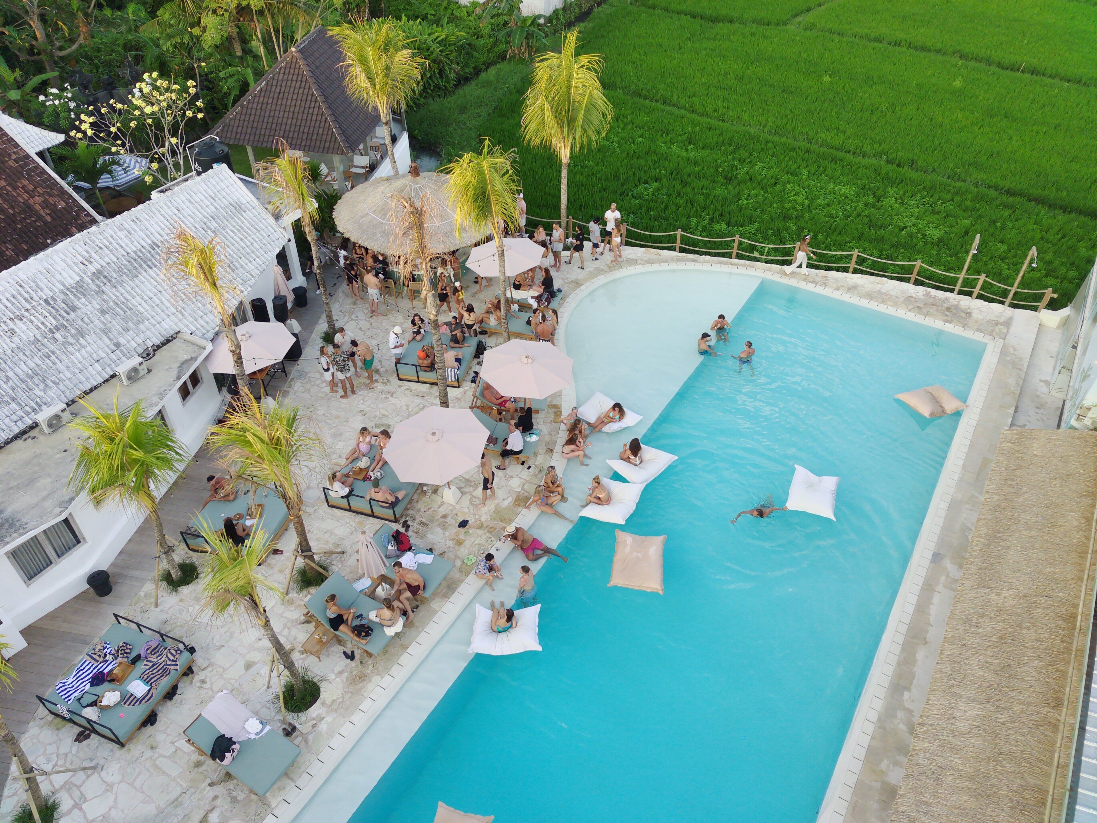 A rooftop pool area with lounge chairs and umbrellas, surrounded by greenery and a view of terraced fields.