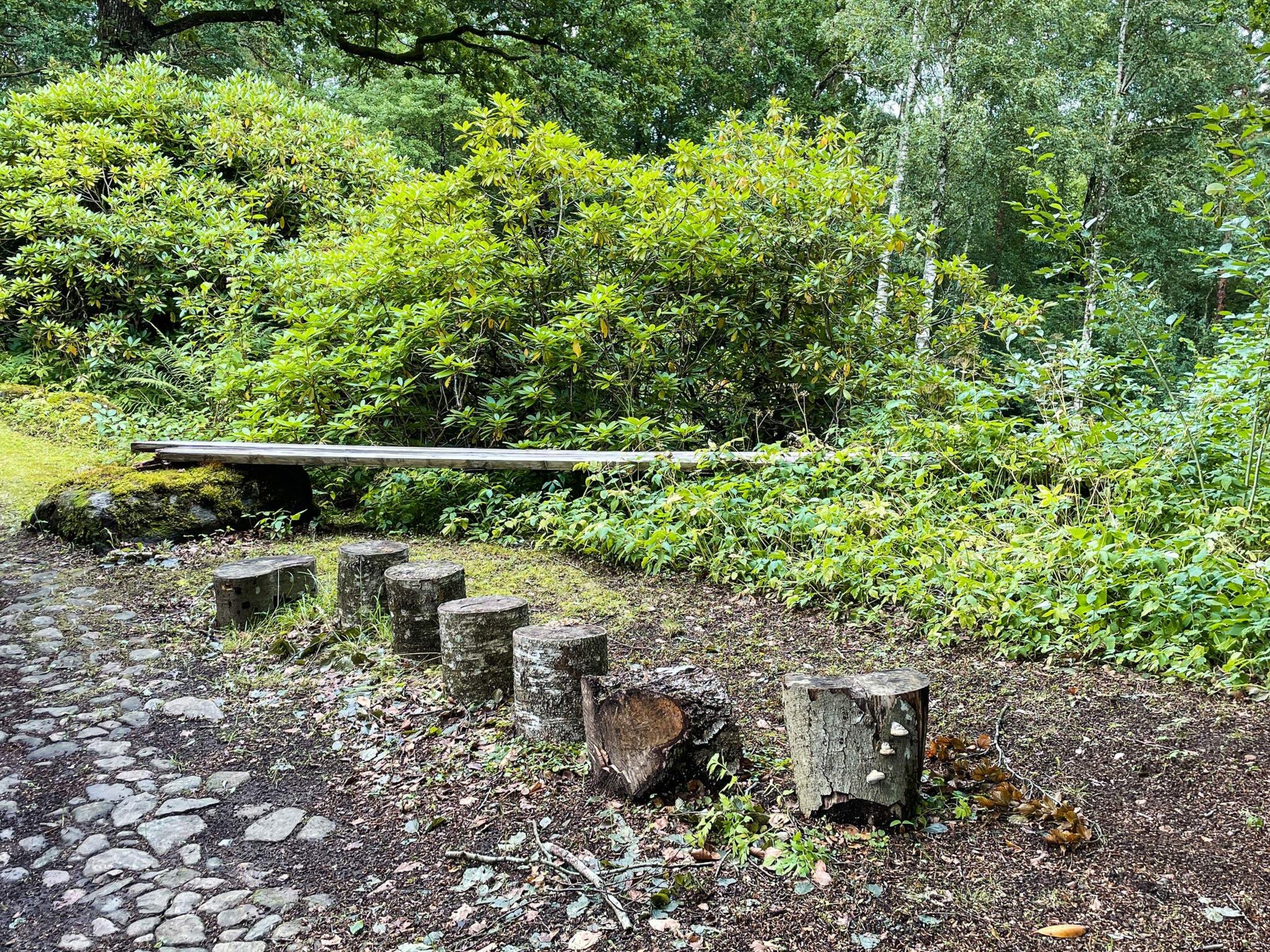 A stone pathway leading through a garden with a wooden bench and tree stumps.