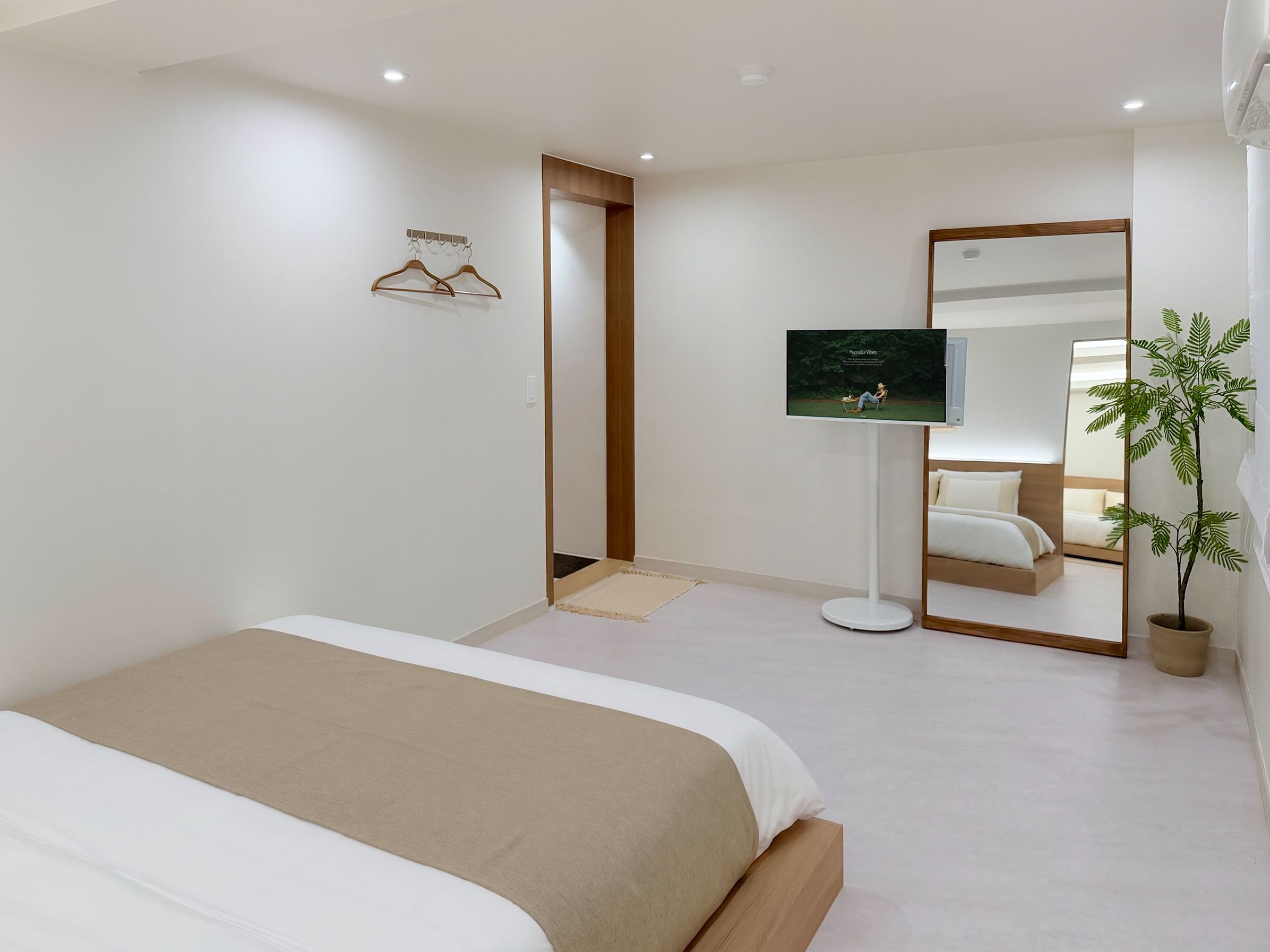 Une chambre d’hôtel moderne équipée d’un lit, d’une télévision, d’un miroir et d’une plante en pot.