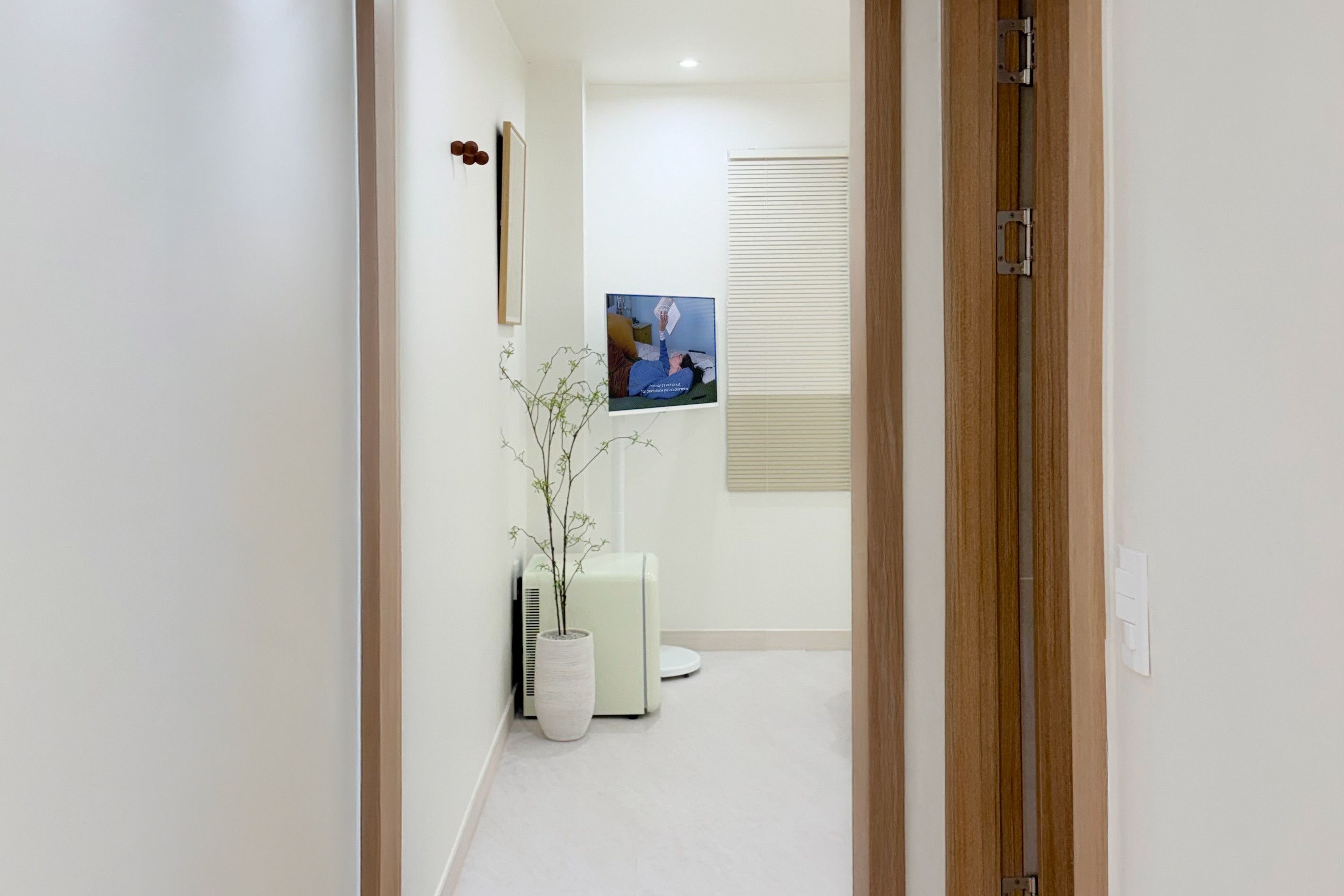 Un pasillo con una puerta, un cuadro en la pared, una planta en maceta y un radiador.
