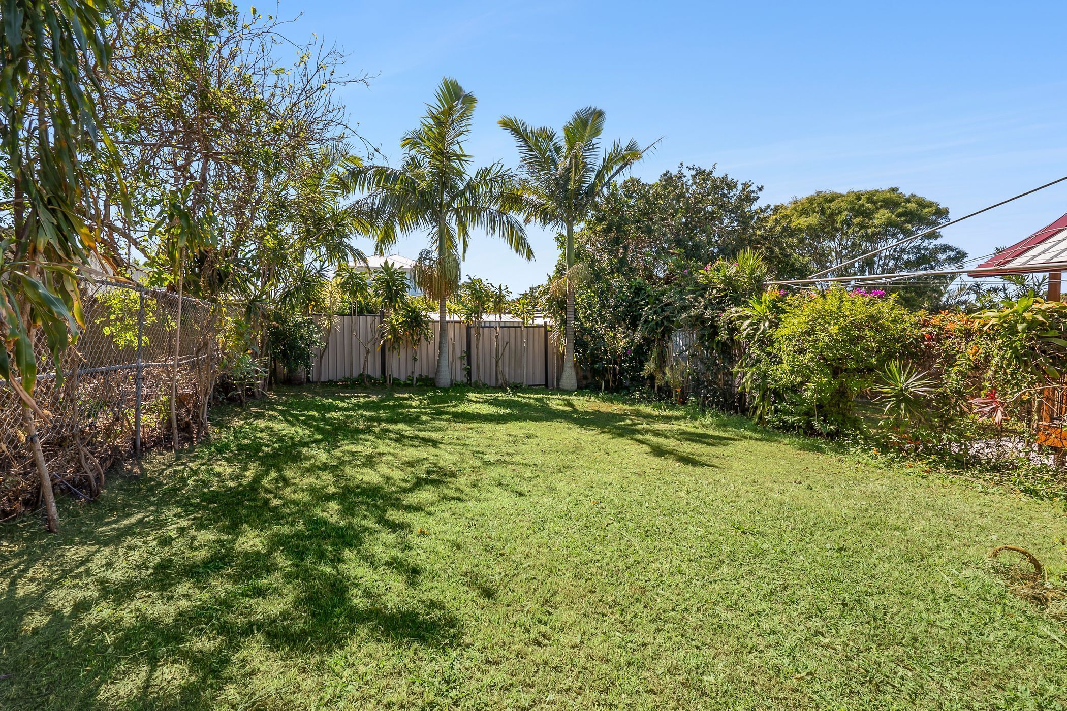 A backyard with a wooden fence, a grassy lawn, and various trees and shrubs.