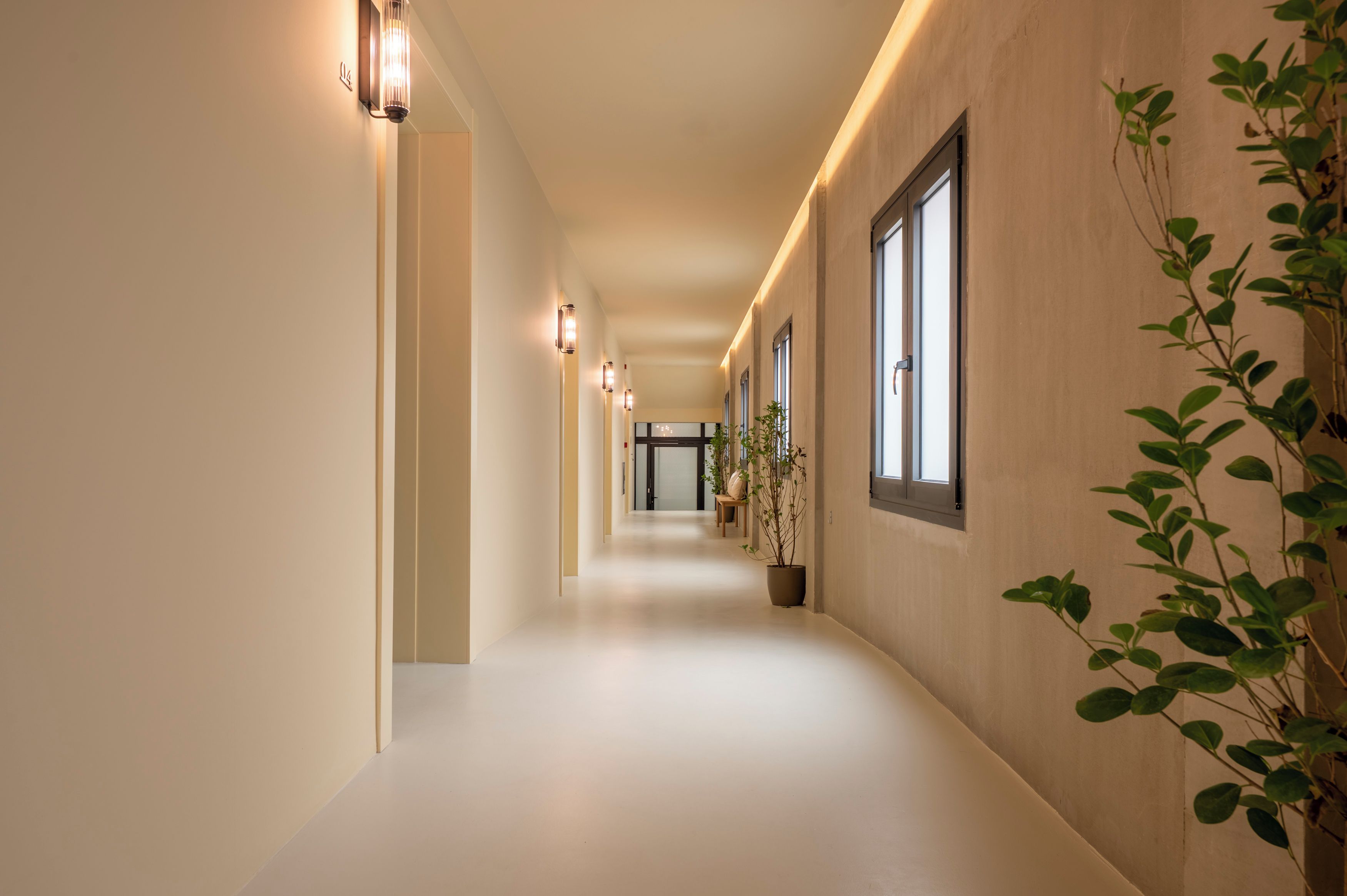 Um corredor comprido e estreito, com paredes claras e piso liso. Várias plantas em vasos adornam o corredor, e as paredes possuem janelas com molduras escuras.
