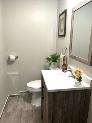 Hair dryer, towels, soap, shampoo - Cozy Multi-Bedroom Getaway Near Kern River, CA (Bodfish)
