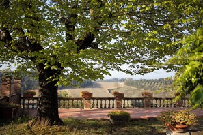 A tree-lined pathway with a stone balustrade, leading to a vineyard. - Casa Sornano, an apartment with a view of Chianti (Toscana)