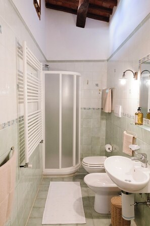 Een badkamer met douchecabine, toilet, wastafel en een spiegel met toiletartikelen.