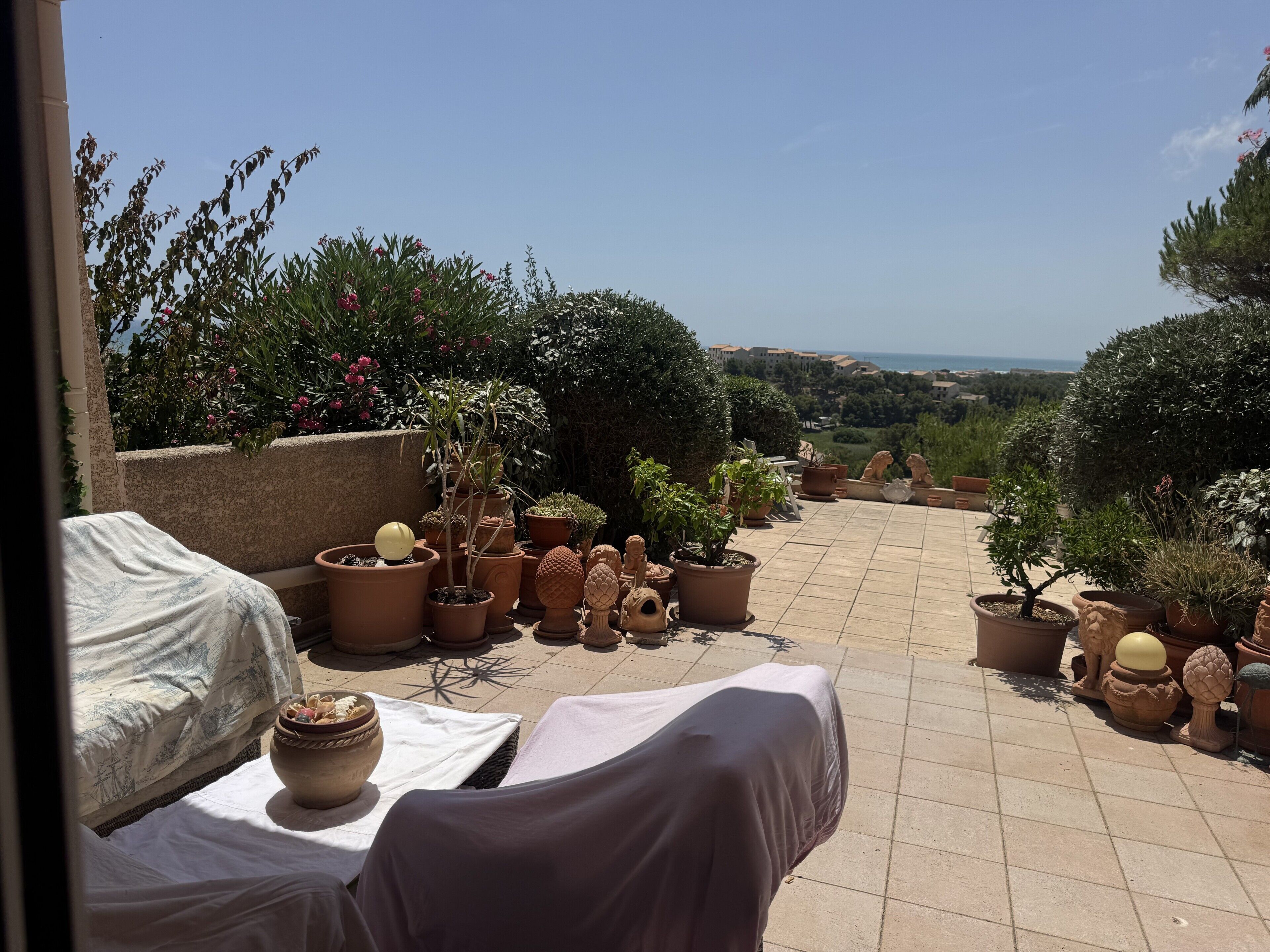 A terrace with potted plants, a covered seating area, and a view of the landscape.