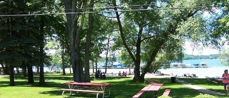 Un parc avec des tables de pique-nique et une vue sur un lac.