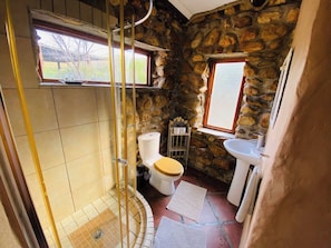 A bathroom with a stone wall, a toilet, a sink, and a shower area. - Chenin Blanc Cottage (Ladismith)
