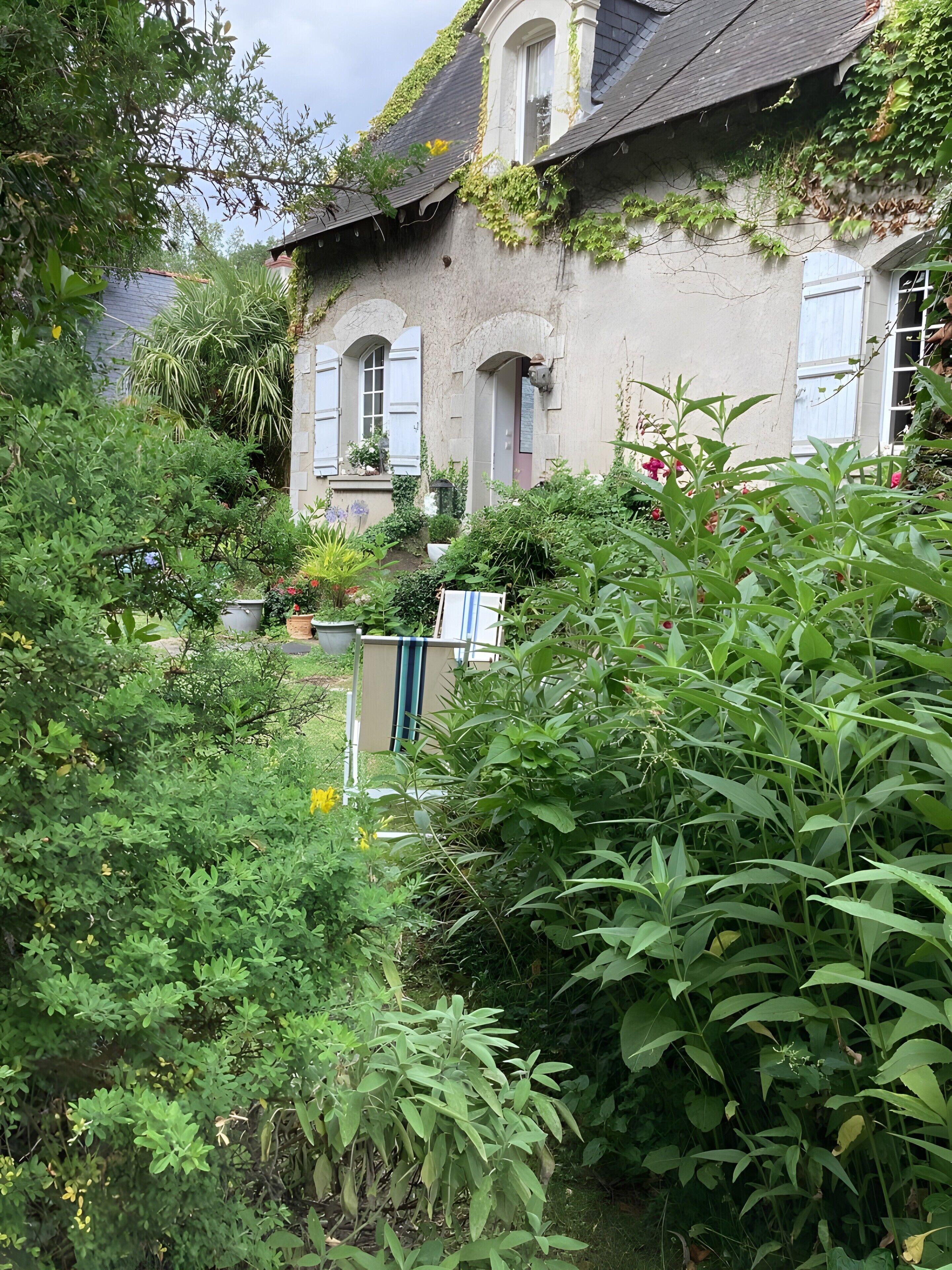 Une maison avec un jardin, une fenêtre avec des volets et une porte.