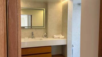 Shower, hair dryer, bidet, towels