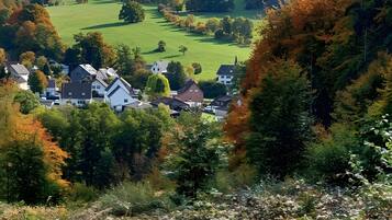 Un paisaje rural con un pueblo, casas y un campo verde.
