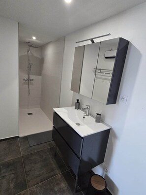 Een moderne badkamer met een douche, een wastafel en een spiegel.