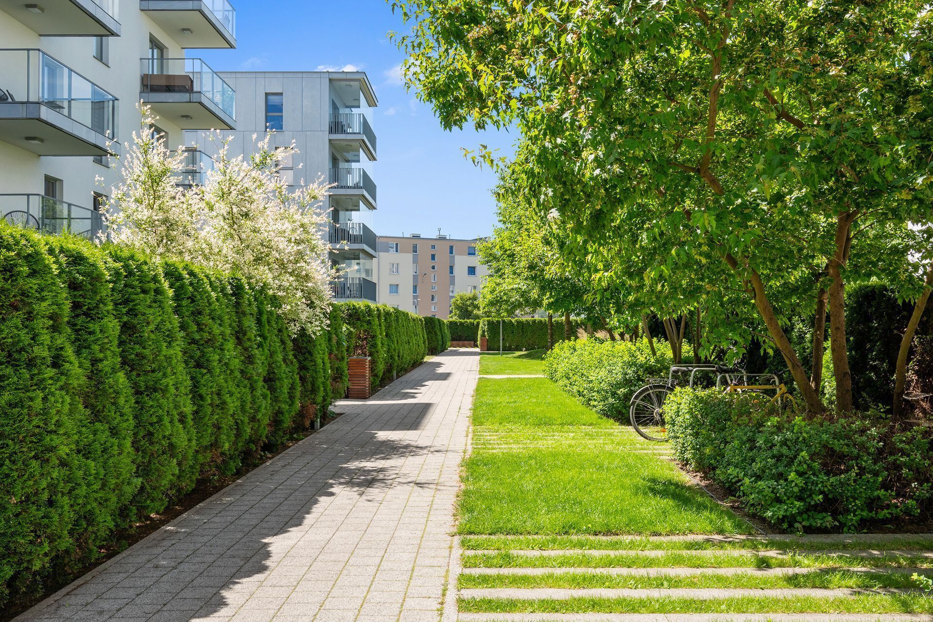 A pathway flanked by neatly trimmed hedges and trees, leading to a building with balconies.